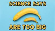 Science Says Penises Are Too Big