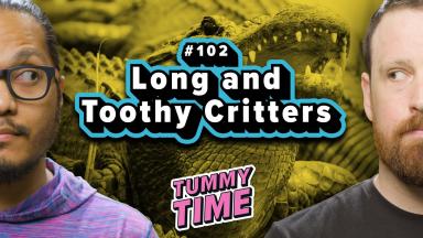 2 - Long and Toothy Critters - Tummy Time Podcast